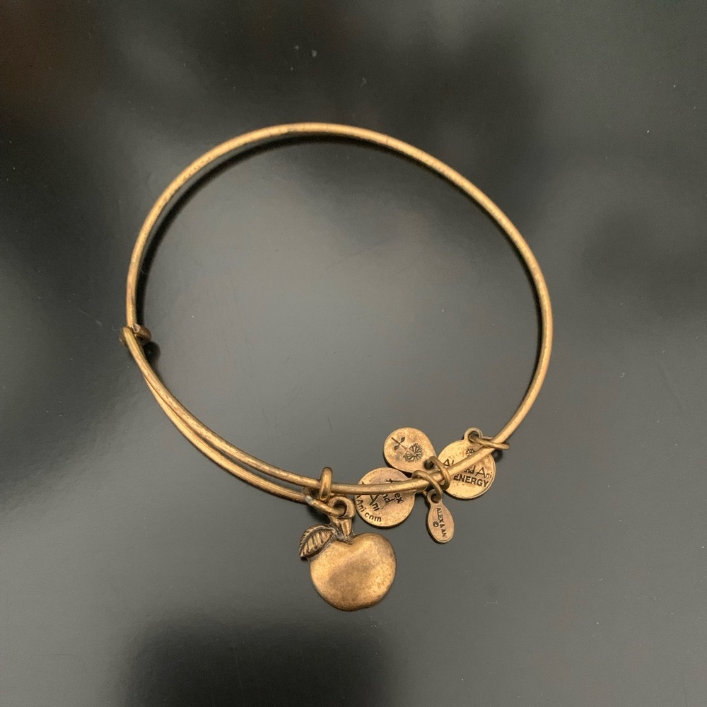 Alex and Ani gold bangle